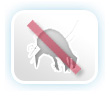 Colchones Muelles anti�caros antial�rgico