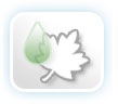 Colchones Viscoelastica aceites vegetales