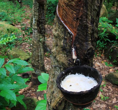 colchones para sensibilidad química múltiple