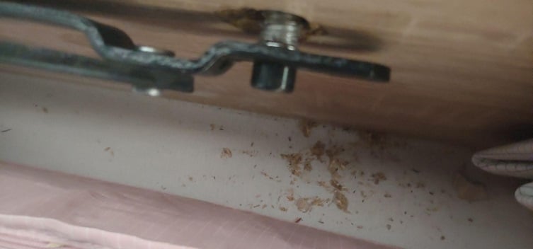 el amortiguador me ha roto el canapé