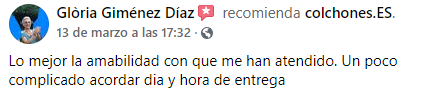 Valoración Somier fijo SomiFlex F6 de Flex