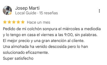 Valoración almohada Viscosense de Sonpura