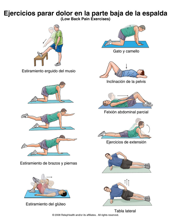 ejercicios-dolor-espalda