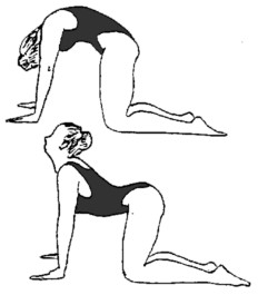 Postura yoga Gato-perro