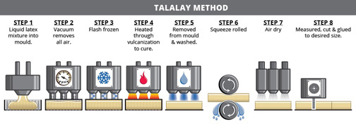 Proceso látex Talalay