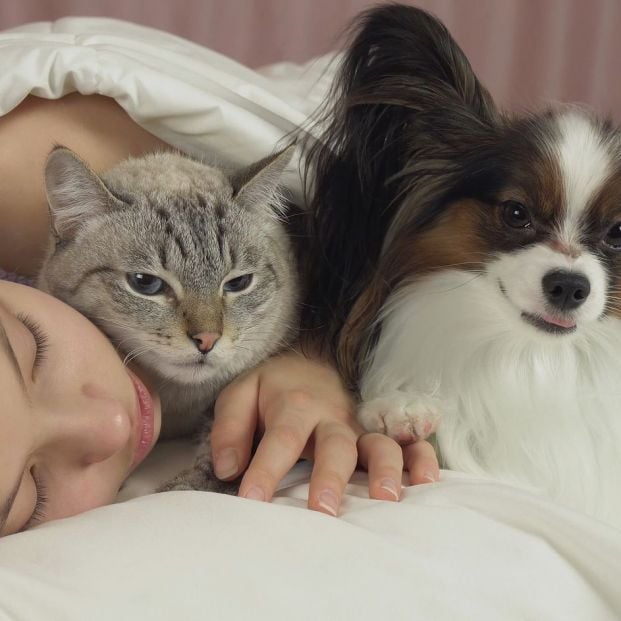 dormir con mascotas